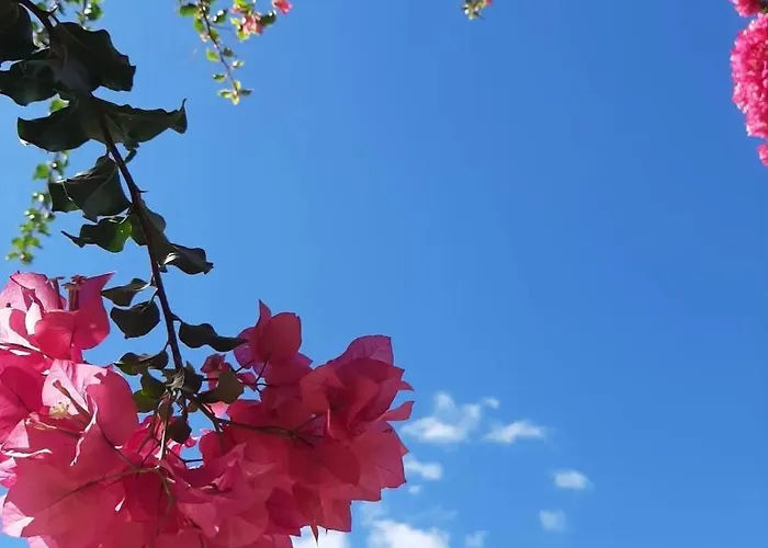 Villa Sueno Azul Apartment *